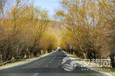 这世上有傻子吗？