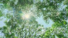 老祖宗的忠告 ：五不起房，六不迁居，七不出门，八不归家