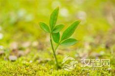 把面子放下，把日子过好