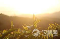 民间俗语“破财免灾”真的能免灾吗？