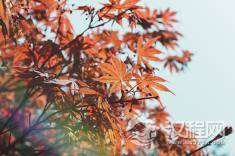 《易经》人生十鉴，您了解多少？能做到多少呢？