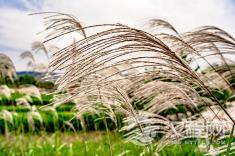 <了凡四训>改变自身命运的典范