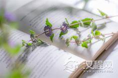 人到中年,治愈自己的三把钥匙,你有吗?