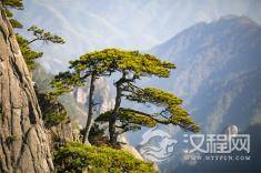 聪明的人，三不说，你说了吗？