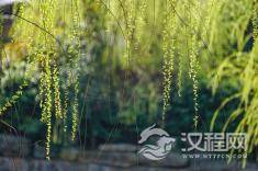 纵横家代表人物——鬼谷子说话之道