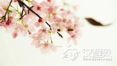 你知道伤孩子最深是哪四种亲子关系？