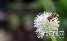 进入秋季，这些饮食禁忌一定要知道！