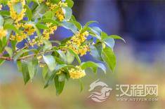 给人生留一个“缺口”