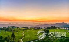 “三树不能砍，福散穷来伴”，指的是哪三种树？