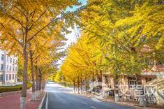 人，可以精，但不可阴