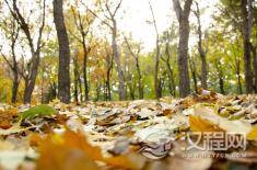 法家思想精髓是什么？