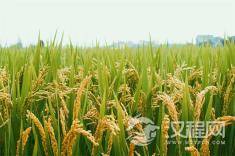 女人越内敛，越有福