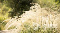 墨家对当代社会的影响