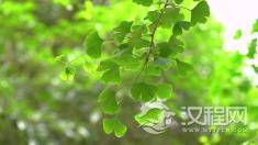 你知道<道德经>里道和德意思吗？