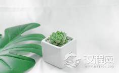 伤肾最狠的食物，常出现在你家餐桌上！还不快扔掉！