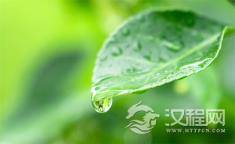 一个人最硬的底牌， 不是金钱，不是婚姻，不是子女，而是……