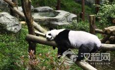 俗语：“人睡三觉，命比纸薄”，指的是哪“三觉”？