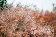 佛之善良是什么？