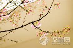 告诉孩子，什么才是最重要的