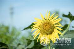 人生的“加减法则”，你学会了吗？