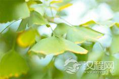 笑是让步，不是怂