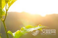 佛教的“四大皆空”真正含义