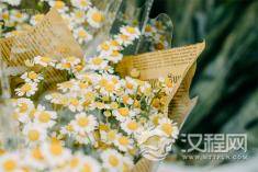 真正决定你人生极限，是你做事的格局