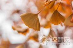 盛极一时的墨家为何从历史上消失？