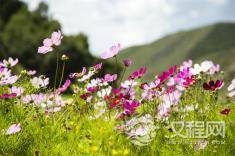 福报来自于为人处世的三宝