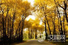 所有优秀的背后，都是豁得出去的狠人