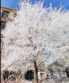 品味本来就极其抽象