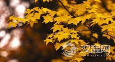 儒家的“中庸”之道是否适用于当代