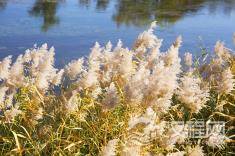 诸子百家思想哪个更适合当今社会的借鉴？