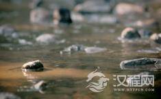 再现500年前徽州人的日常生活——程氏三宅