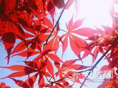 人人都应了解的“穿针心理”，你了解吗？