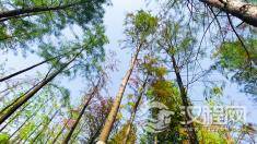 如何用一句话来概括儒家文化？