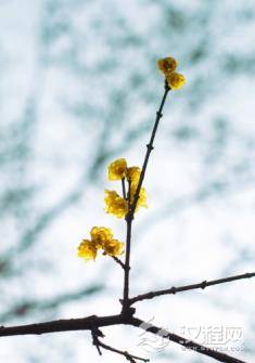 冬至时节有哪些含义？