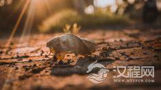 中庸之道对构建和谐社会有影响吗？