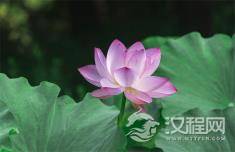 人走霉运的时候，多去这几个地方转转，会转运哟