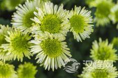 “囚徒思维”会拖垮你的人生吗？