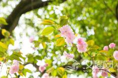 论格局对人生的重要性