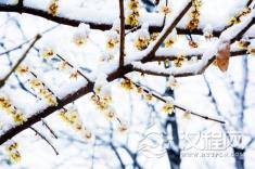 小寒节气相关的民间民俗活动！在这一天怎样养生！