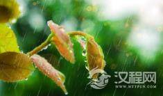 俗语说：“夜猫不进无病之家，燕子不进苦门之家”，说的是什么讲究？