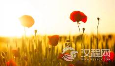 有一种家风，叫遇事不责备