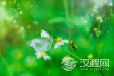 二月二龙抬头的忌讳 龙抬头的历史起源