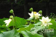 人生的哪三次低头标志着一个人真正的成熟？