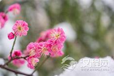 悄悄毁掉你的，是你的“退而求其次”