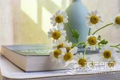 先学会不生气，再学会气死人