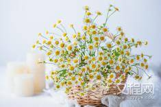 礼仪之邦：中国古代礼仪制度解读