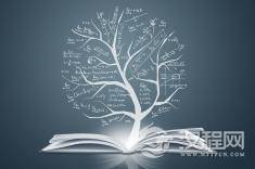 杨辉三角的前世今生:从古代数学到现代编程